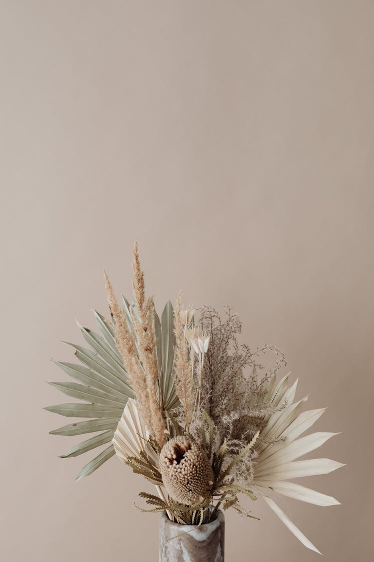 Dry Plants And Beige Wall