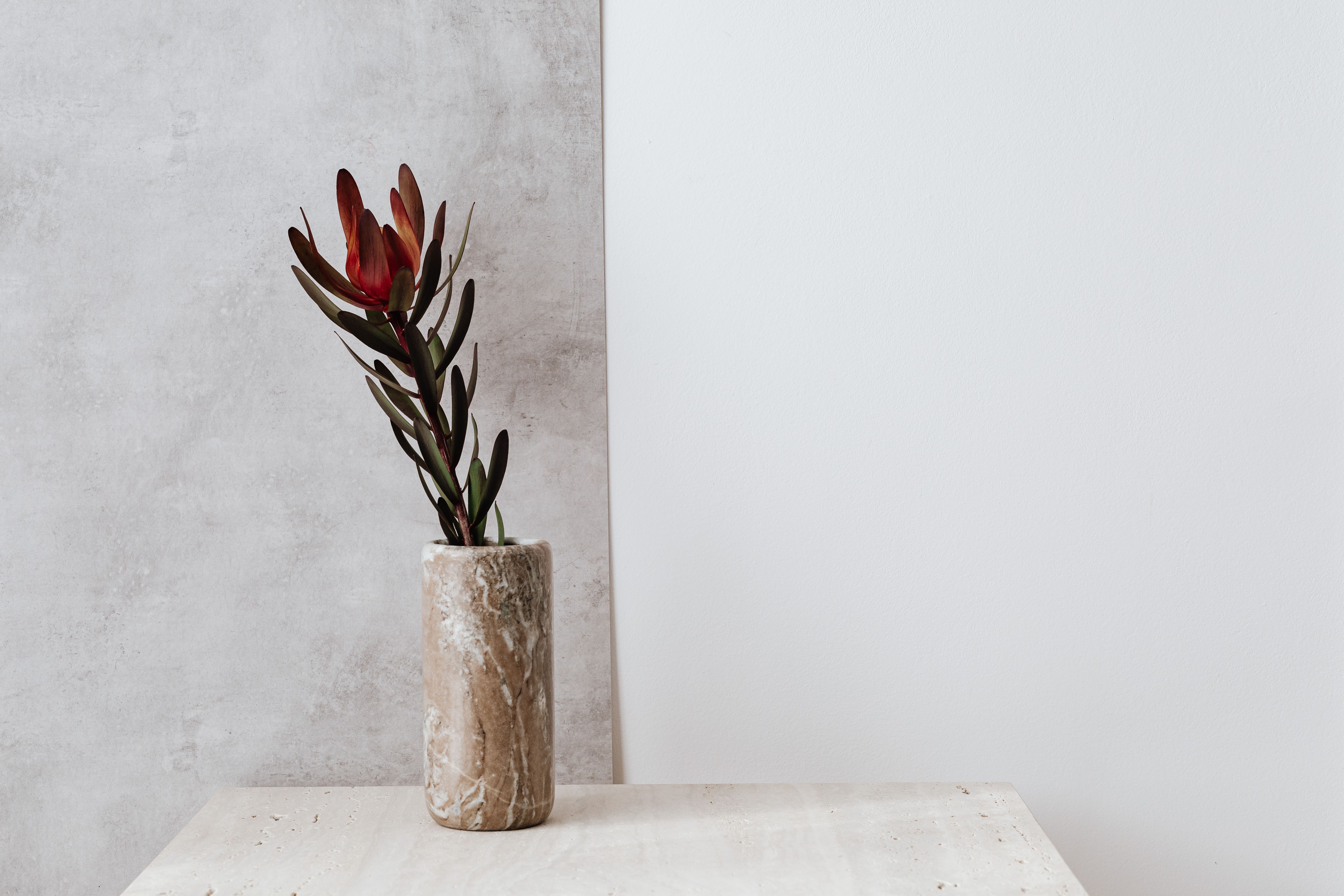 Moderne Wandvasen Styling – DIY selber bauen — DIY-Anleitung Schritt für Schritt — Schritt-für-Schritt-Anleitung