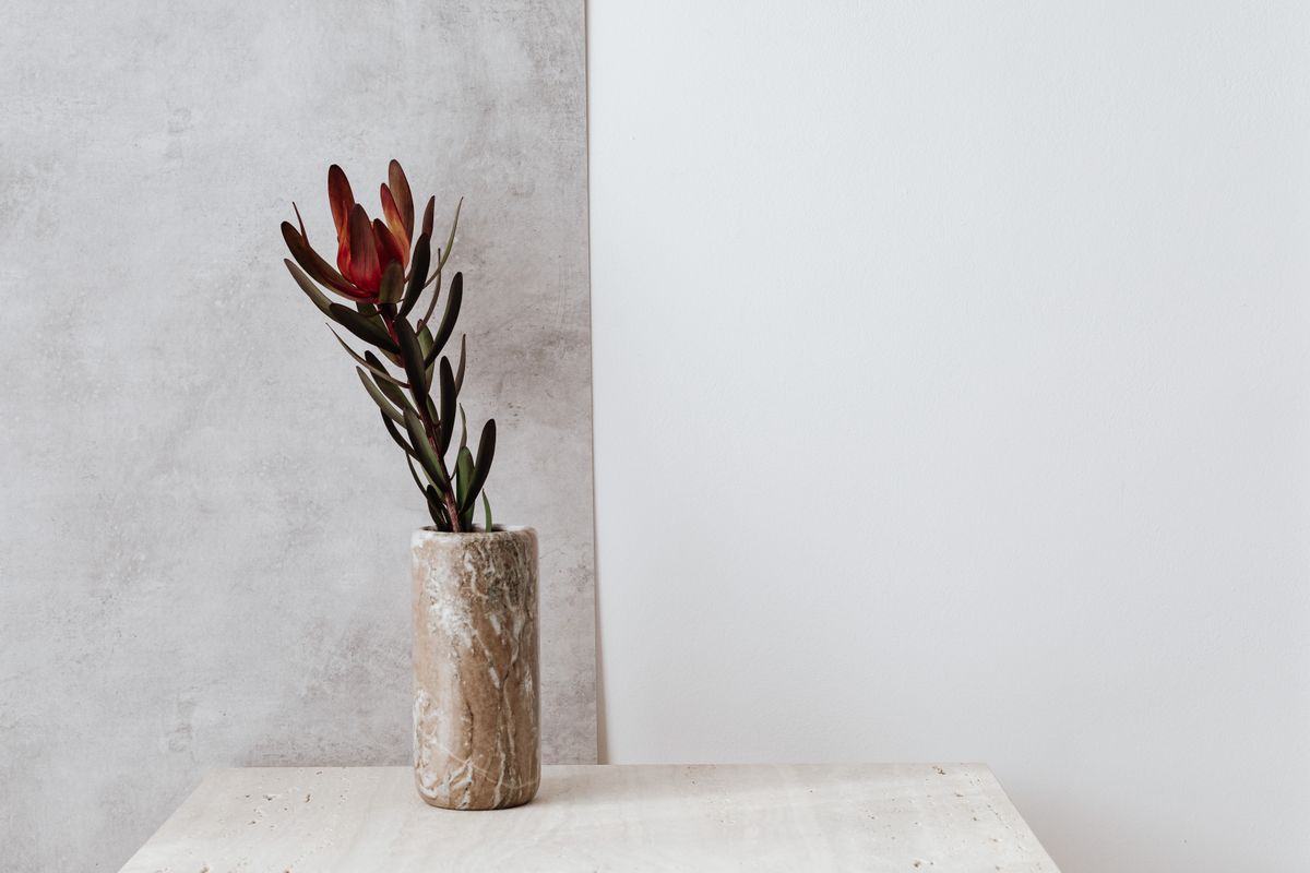 Moderne Wandvasen Styling – DIY selber bauen — DIY-Anleitung Schritt für Schritt — Schritt-für-Schritt-Anleitung