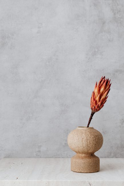 A minimalist display of a protea flower in a stone vase against a neutral background.
