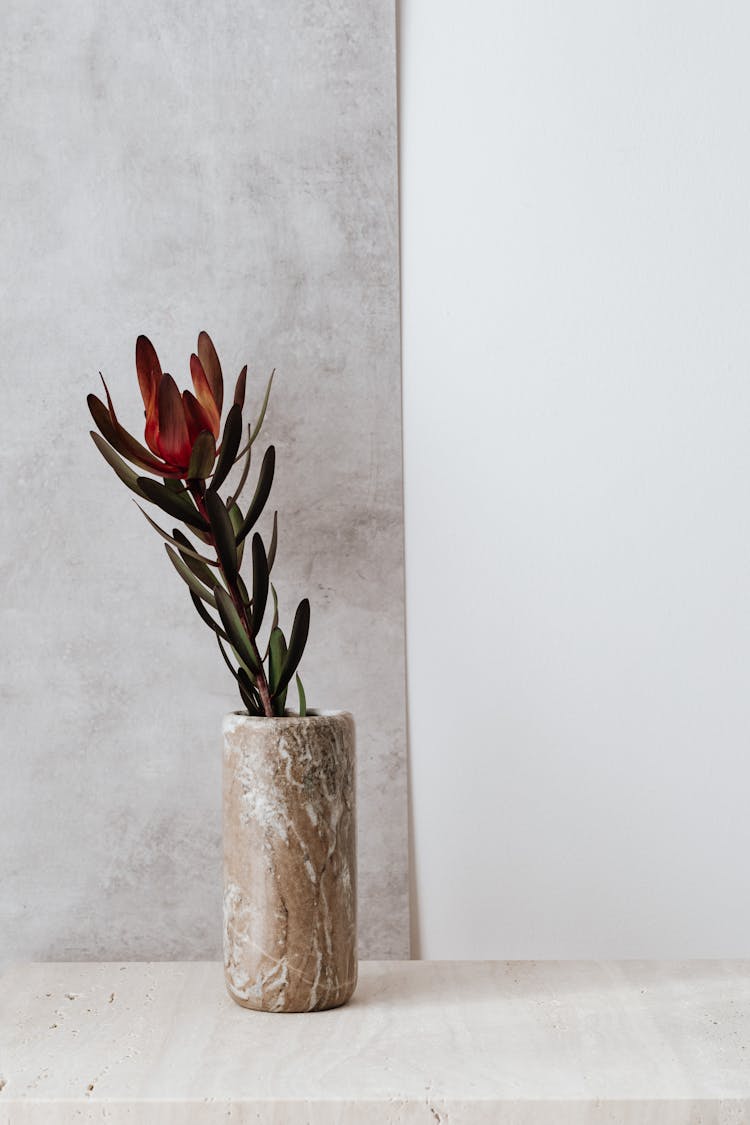 A Marble Flower Vase Over A Marble Top Table