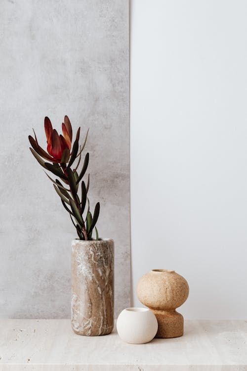 Branch in Stone Vase