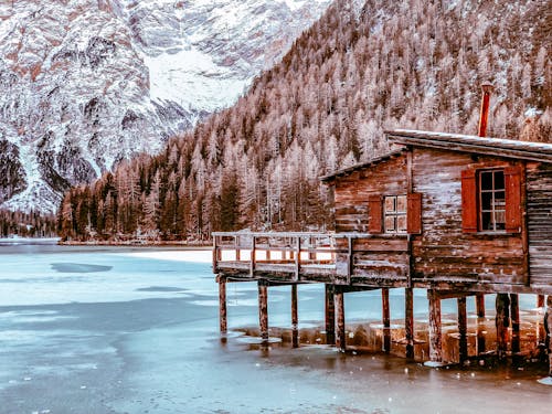 Photos gratuites de arbres, cabane en bois, froid - température