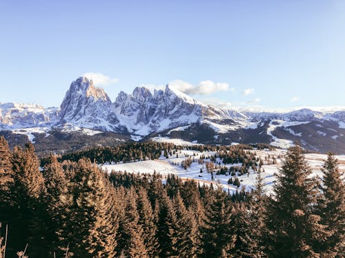 View of a Mountain Covered in Snow