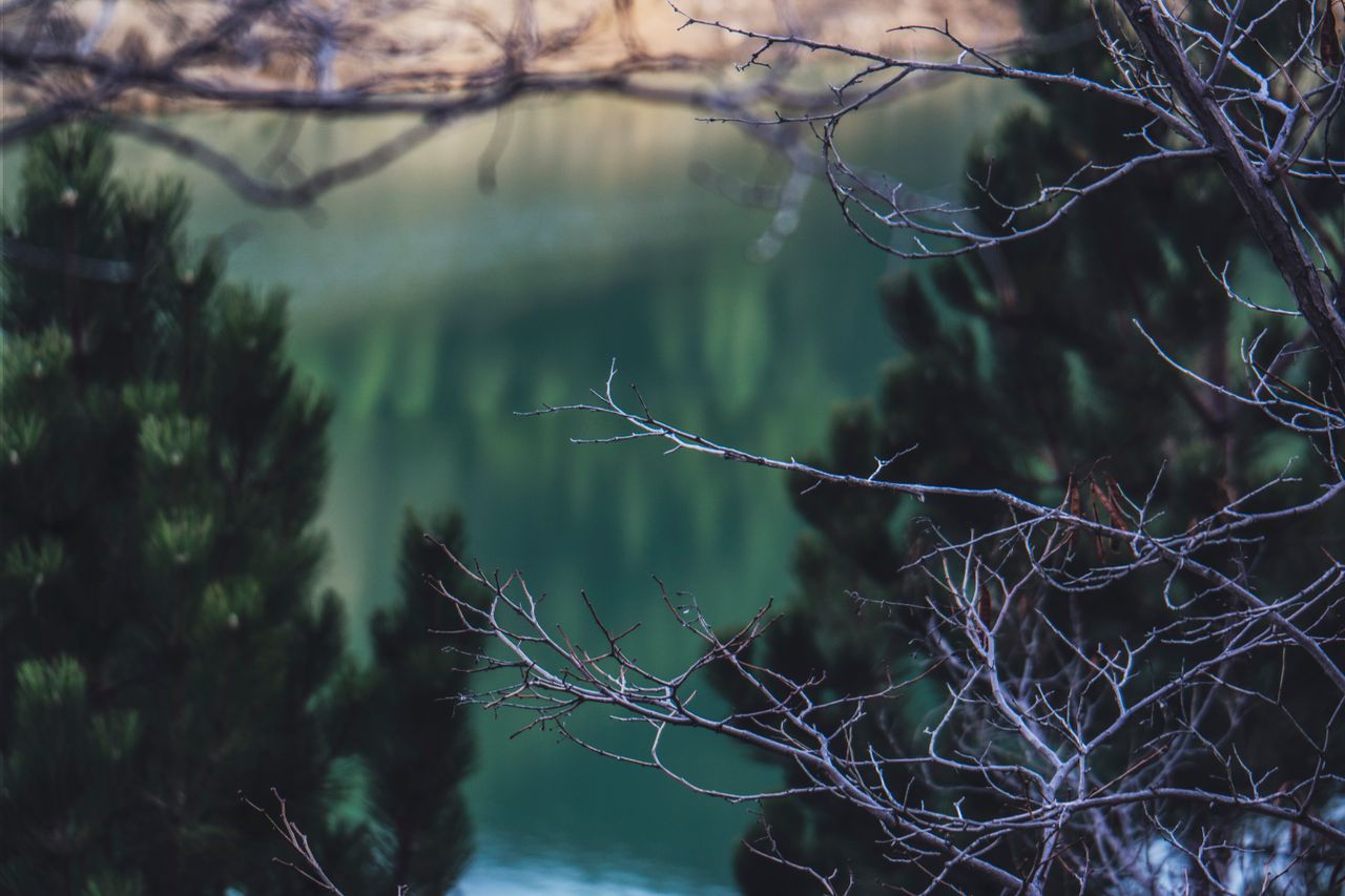 an idyllic scene showcasing a tranquil lake with reflecting trees fram