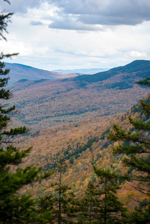 Free Picturesque view of vast forested hilly terrain under cloudy sky in tranquil nature on early autumn day Stock Photo