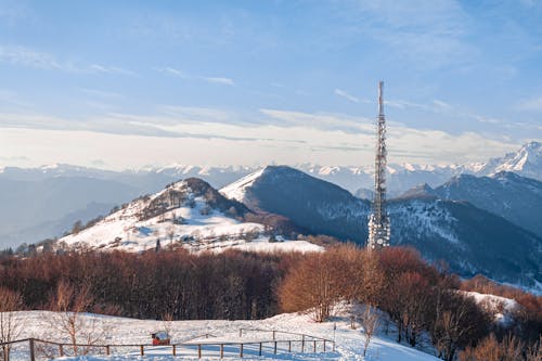 Foto profissional grátis de árvores sem folhas, inverno, montanhas