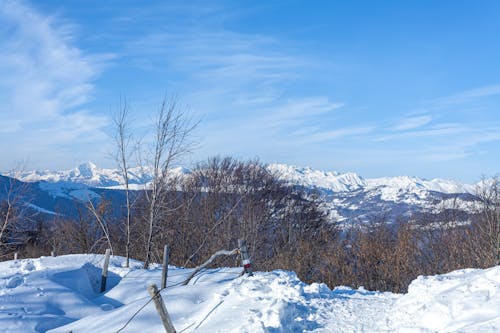 Foto profissional grátis de escalada, floresta montanhosa, fundo de neve