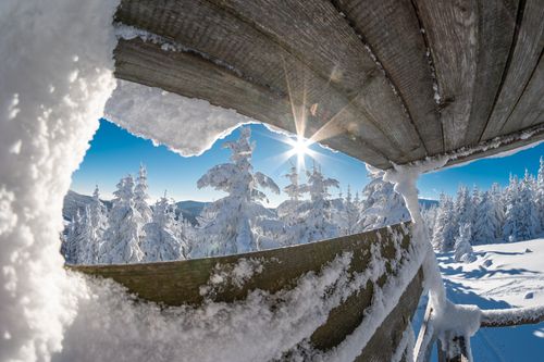 Free Picturesque view though wooden construction on coniferous forest covered with snow in winter time in sunny day Stock Photo