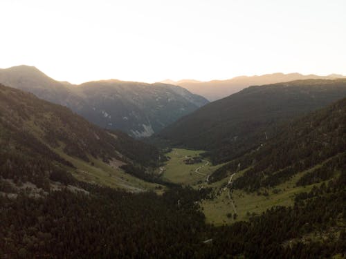 Drone view of rough slopes with fresh verdant grass and trees in sunny weather under cloudless sky