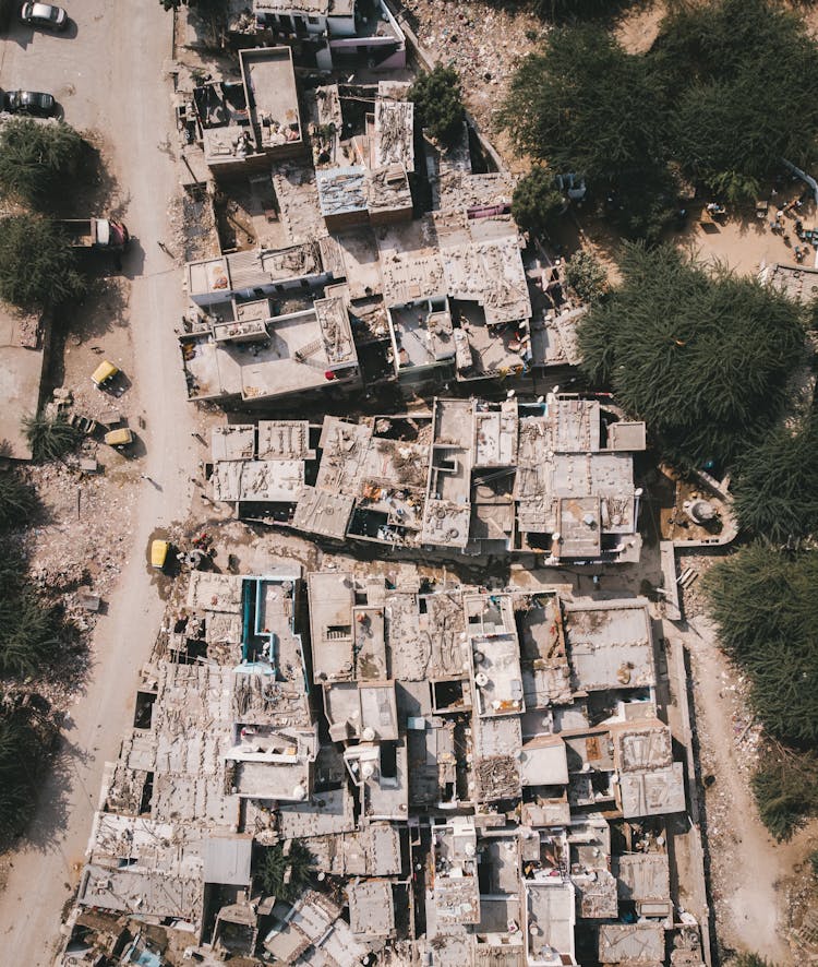 Abandoned Buildings Near Green Trees