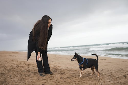 Gratis Mujer En Chaqueta Negra De Pie En La Playa De Arena Marrón Con Perro De Pelo Corto Blanco Y Negro Foto de stock