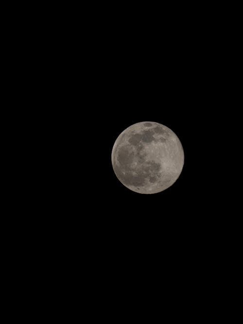 Free Full Moon in the Dark Night Sky  Stock Photo