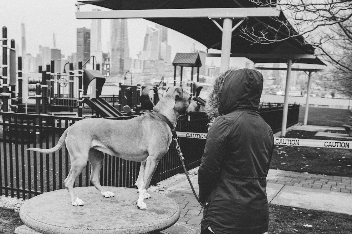 Grayscale Photo of a Person Standing Beside the Dog