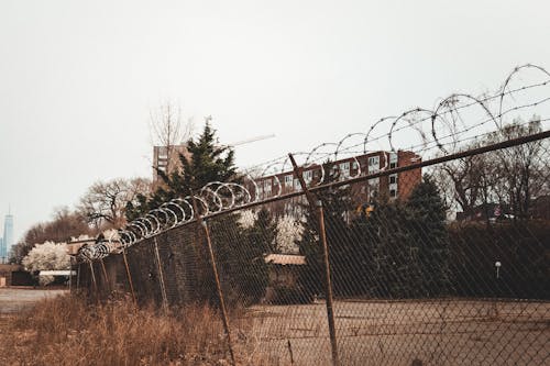Free Barbed Wire Above the Mesh Wire Fence Stock Photo