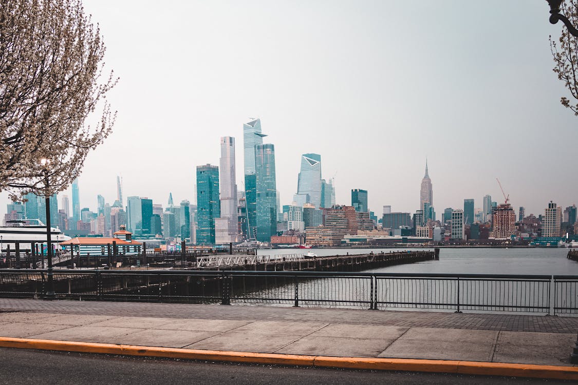 New York Skyline from the Park