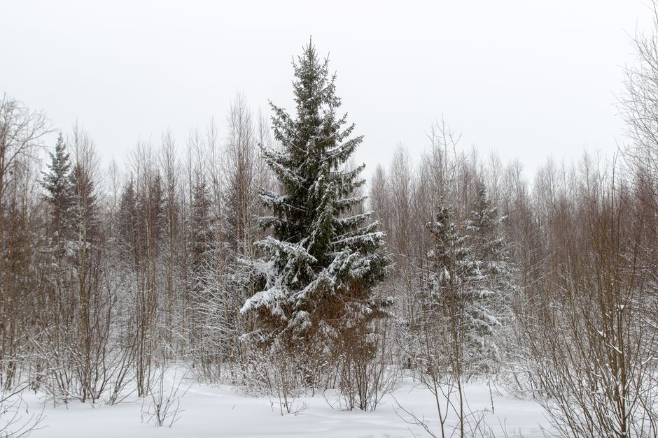 Yakutsk, Russia extreme weather vacations