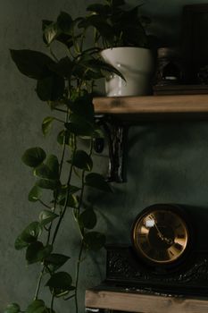 A cozy interior featuring a vintage clock and a potted vine on a rustic wooden shelf.