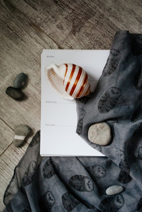 Composition of seashell and stones scattered on floor with scarf