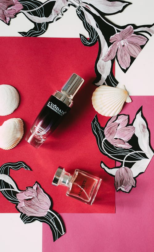 Composition of perfume bottles and seashells placed on table with floral ornament