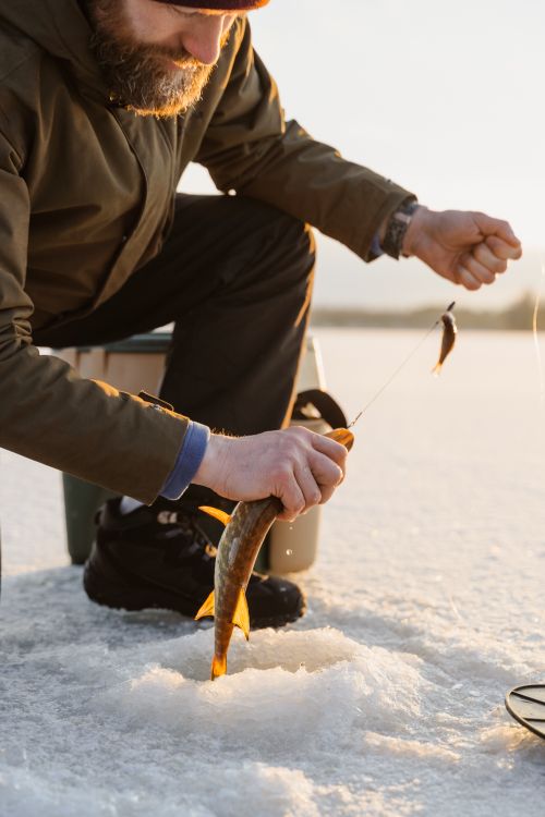Free Bearded man catching fish while ice fishing on a snowy lake in winter. Stock Photo
