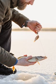 Fisherman holding a freshly caught fish through ice on a snowy winter day.