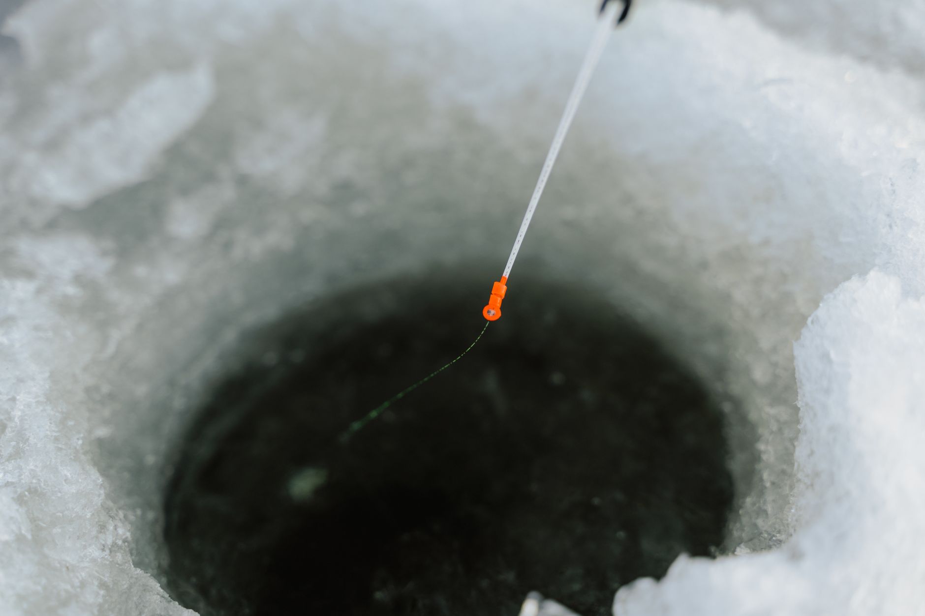 Best Ice Fishing Rods (2026)