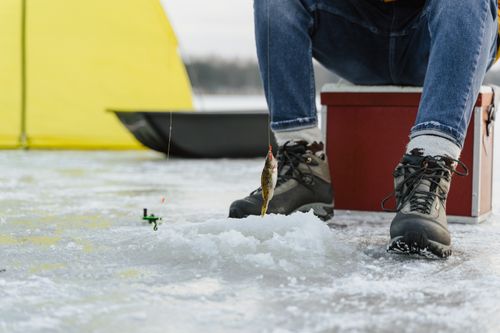 Free A man enjoys ice fishing on a frozen lake during winter with a catch on the line. Stock Photo