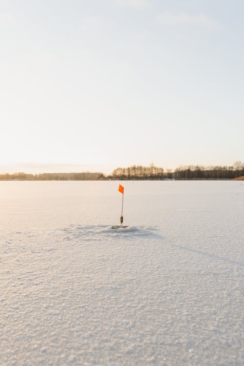 Základová fotografie zdarma na téma aktivní, cestování, chytit