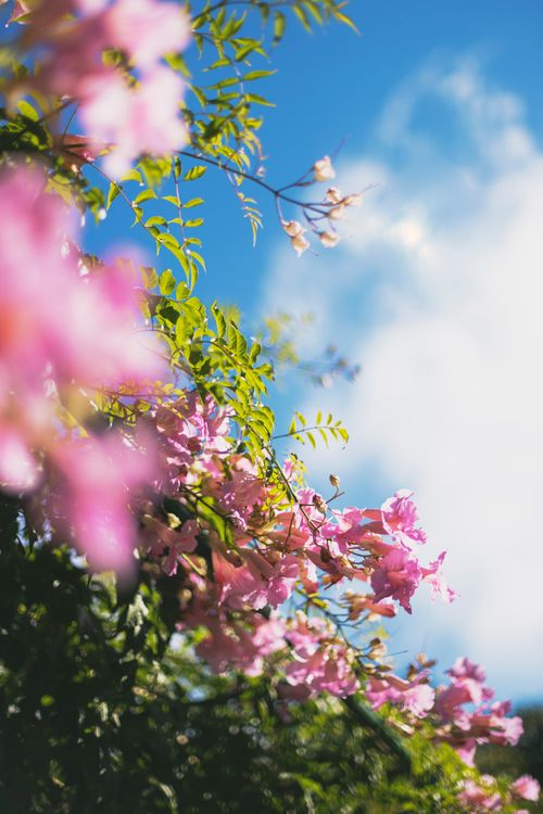 Spring season in Andalusia Spain