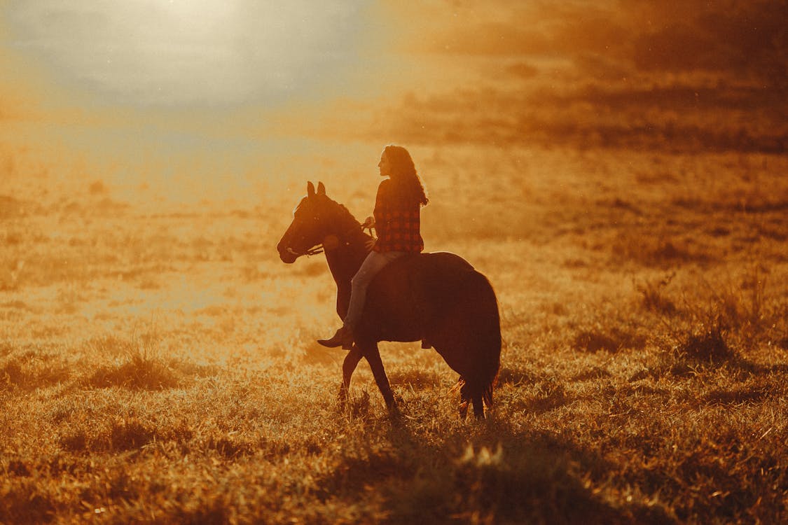 Woman with long hair riding horse in sunny pasture