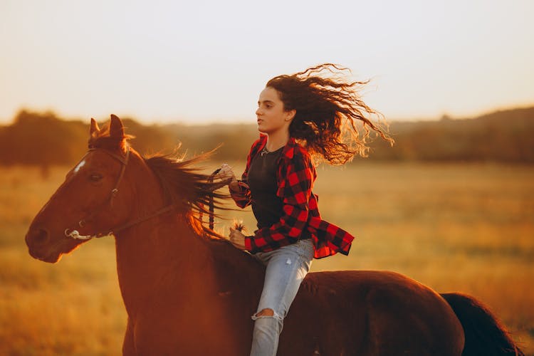 Young Woman Riding Horseback On Meadow