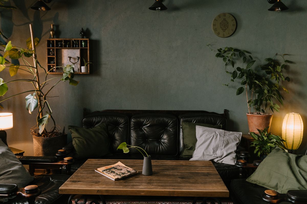 Warm living room with indoor plants and comfortable sofa