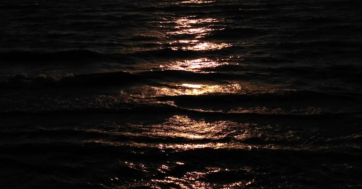 Free stock photo of dark, sea, sun