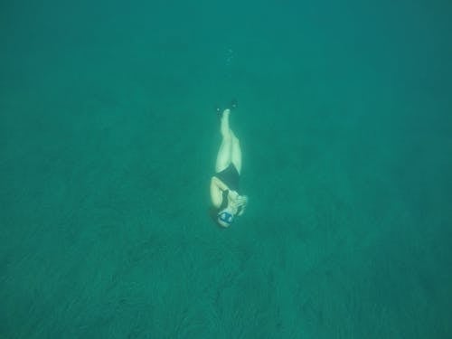 Underwater Photo of Woman Swimming 