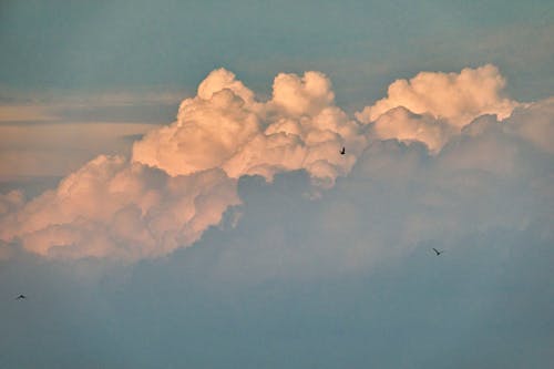 бесплатная Бесплатное стоковое фото с белый, голубой, кучевое облако Стоковое фото
