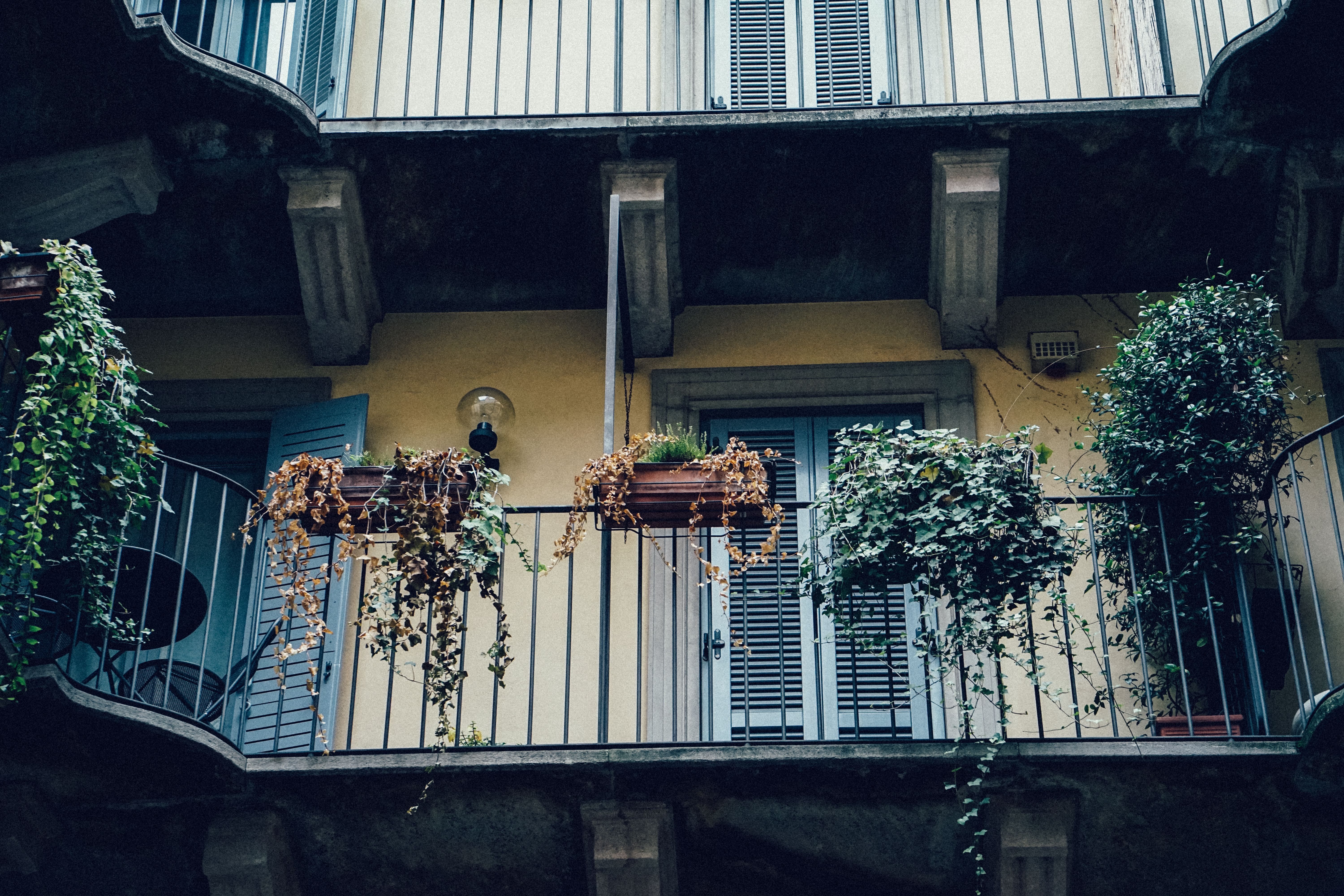 Politecnico di Milano Gold Scholarship 2027, Milan campus