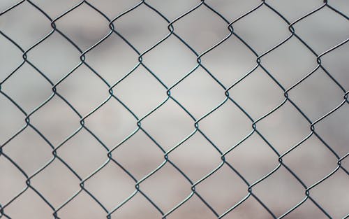 Chain Linked Fence