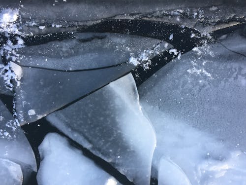 คลังภาพถ่ายฟรี ของ น้ำแข็ง