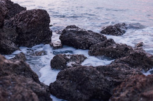 Schwarze Und Braune Felsen Auf See Bei Tageslicht