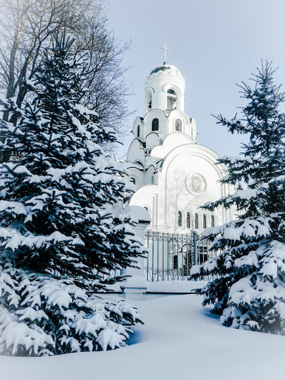 White Cathedral in the Middle of Snow Covered Trees
