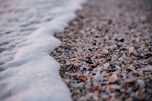White and Grey Pebbles Near Sea Shore