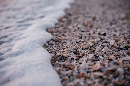 Close-up of seafoam meeting a beach scattered with seashells and pebbles.