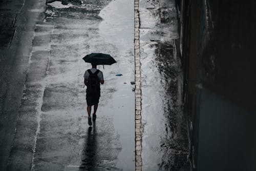 Person Holding An Umbrella Walking on Wet Road