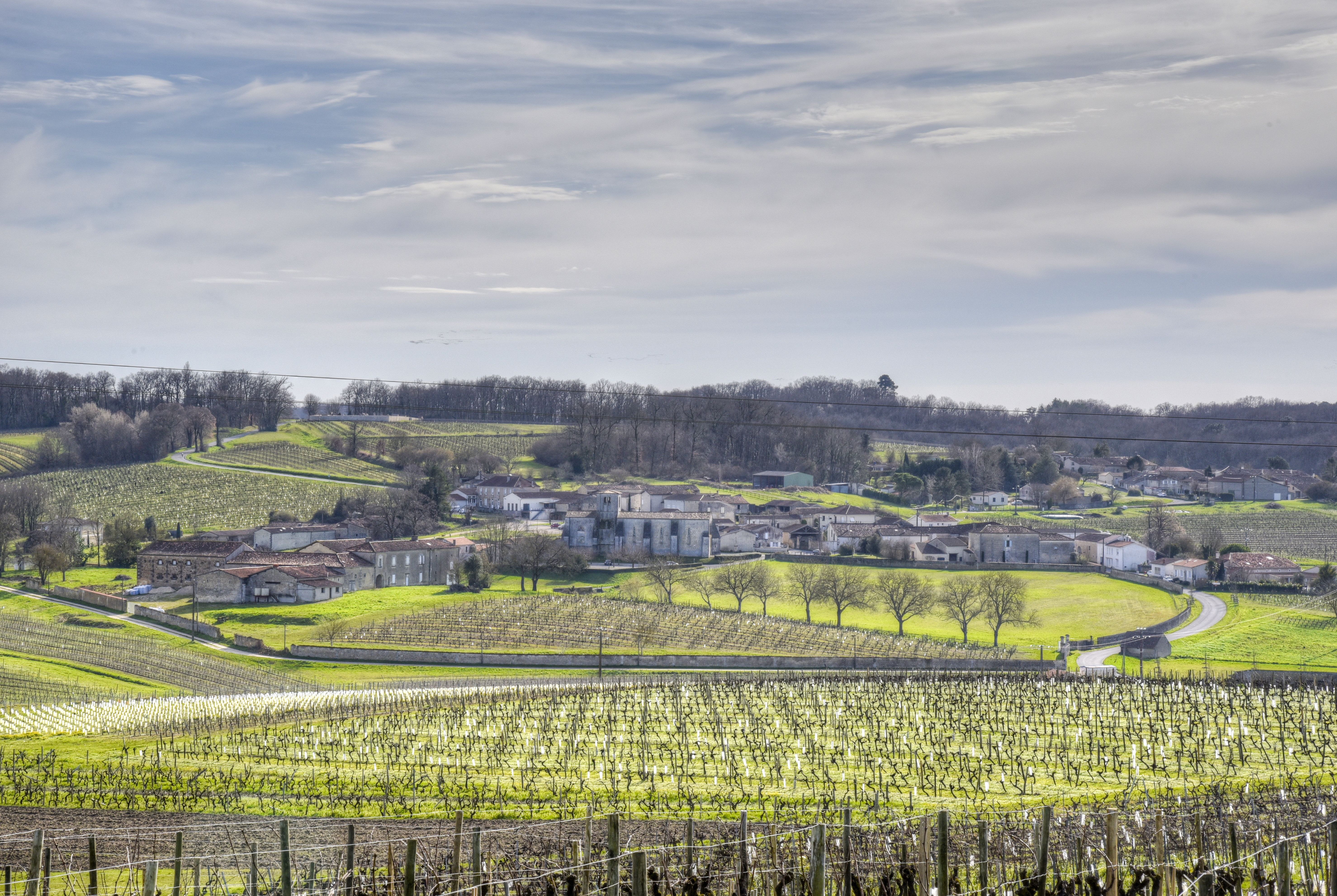 A picturesque vineyard landscape with fields and houses under a bright sky.