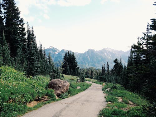 dağlar, doğa, keçi yolu içeren Ücretsiz stok fotoğraf