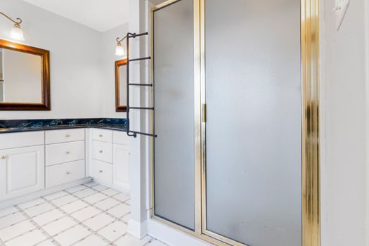 Elegant bathroom featuring a shower with gold trim and marble countertops, highlighting modern interior design.