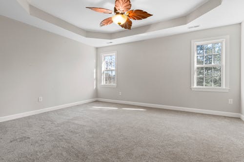 Carpeted Room with Beige Wall and Ceiling Lamp with Leaf Design