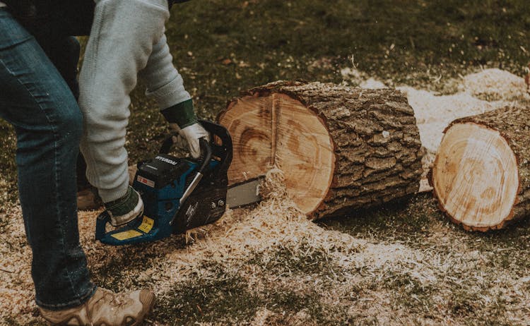 Crop Man Sawing Log In Countryside