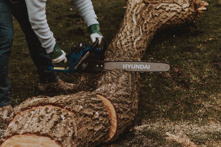 A worker cutting a felled trunk down at ground level on a lawn
